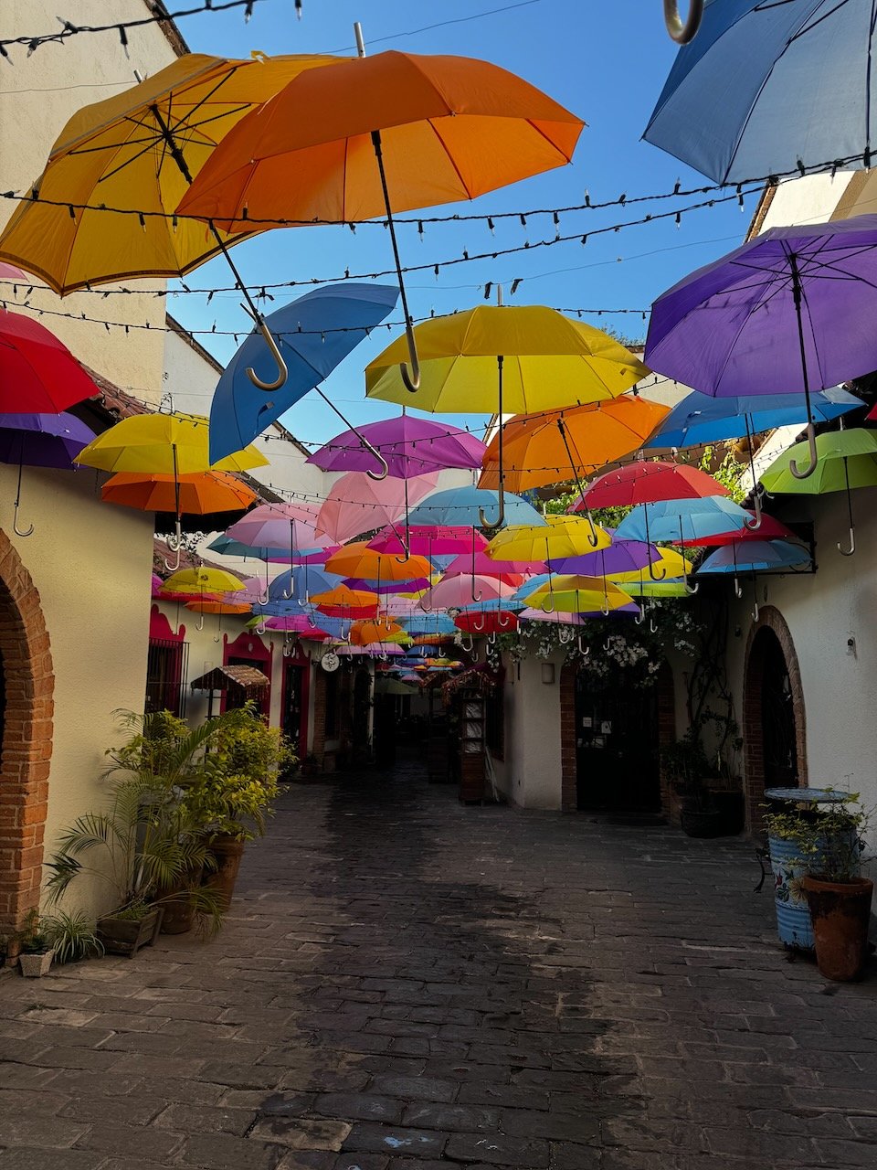 Umbrellas createe a canopy over an outdoor restaurant